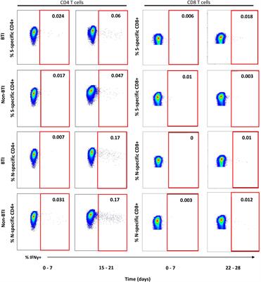 Enhanced Spike-specific, but attenuated Nucleocapsid-specific T cell responses upon SARS-CoV-2 breakthrough versus non-breakthrough infections